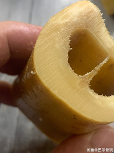 00同款货源何许名也淘宝驼骨批发 有量有价原生态真骆驼骨头0人