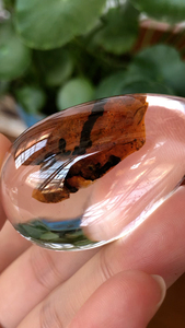 晶莹剔透黑云母胶花天然小树吊坠烟雾晶异像水晶,天然无完美要求