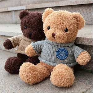 重庆大学  泰迪熊 毕业纪念品 校庆九十周年 校友必备 不包