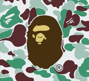 bape洗标