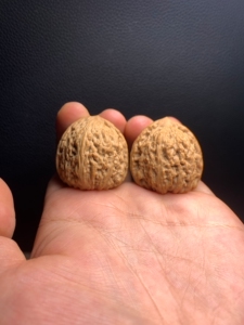 承德原树一代码子红玛瑙又叫红宝石33.5mm文玩核桃