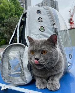 【转卖】宠物用品猫包太空舱便携狗狗装猫双肩猫袋书包猫咪透明背