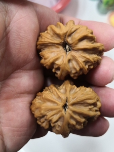 平谷方块狮子头