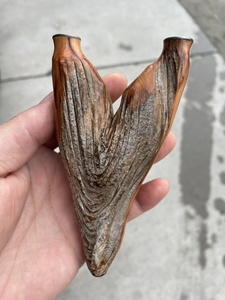 崖柏原叉随形弹弓,v形弓,陈化到位,原皮骨料,双手可用,弓门