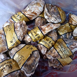 成都乳山生蚝批发