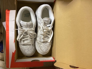 nike dunk 腰果花 低帮板鞋 原装鞋盒 可小刀