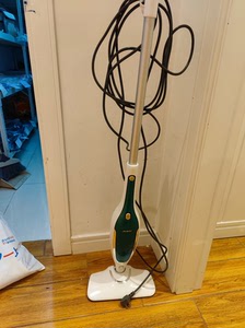 莱克的蒸汽拖把,一口价99元,不包邮.