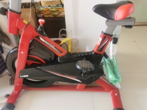 动感单车家用盖朗德