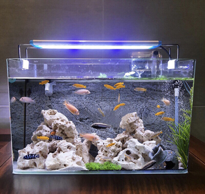 全新包邮80厘米长玻璃鱼缸高清超白鱼缸60厘米水族箱乌龟 缸