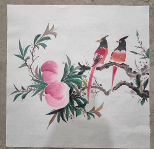 本人纯手绘国画花鸟斗方寿桃寿带鸟,尺寸50x50cm,客厅书