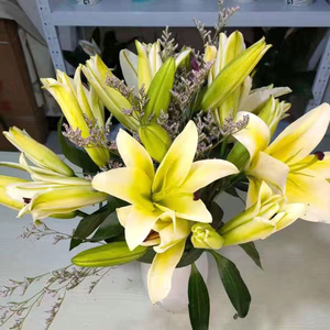 百合花批发室内