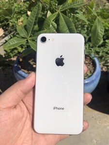 iphone8 256g 个人转出苹果8256手机本人已使用_阿里巴巴找货神器