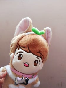 伯贤玩偶边伯贤