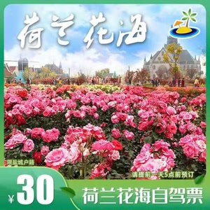 荷兰花海门票