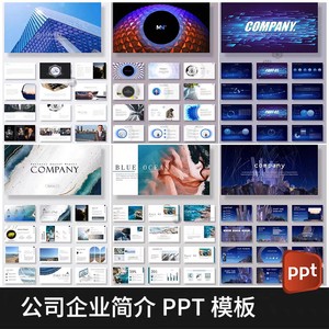 公司简介PPT模板国外大气高端项目产品简约商业计划书介绍策划