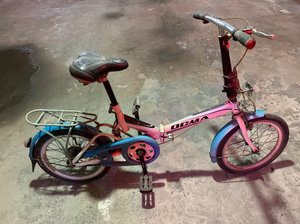 七彩马折叠自行车