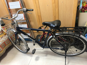 捷安特可汗复古自行车,懂得来.全车原配,新安的日本不锈钢车筐