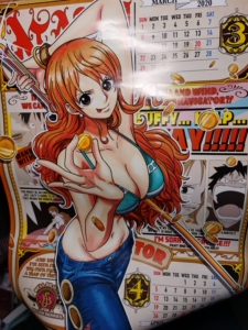 海贼王娜美弗兰奇海报