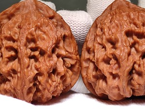 梨木台狮子头文玩核桃蓟县翻天印野生核桃
