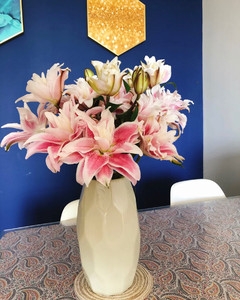 伊莎贝拉胡安娜重瓣百合鲜花云南鲜花基地直发包邮