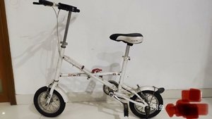 圣飞特圣飞特SFeiTE蜂鸟系列折叠自行车，法国品牌 ，成色