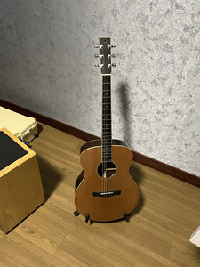 李吉他(lee guitar)新款蛰伏j40