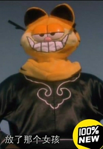 周星驰电影 破坏之王 加菲猫头套