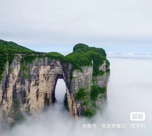 张家界天门山国家森林公园景区门票索道票优惠代订a线b线c线