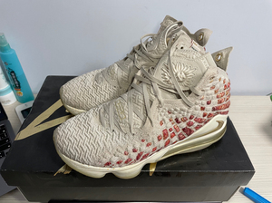 穿不了了,nike lbj 17 詹姆斯篮球鞋17代 狮子头
