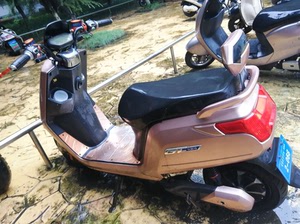 贝斯特玫瑰金二手电动车,因校内不让骑车转让