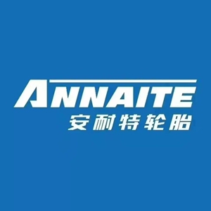 安耐特轮胎正品