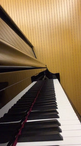 普拉姆伯格钢琴