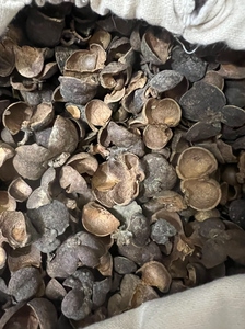 六堡茶果-淘宝拼多多热销六堡茶果货源拿货 - 阿里巴巴货源