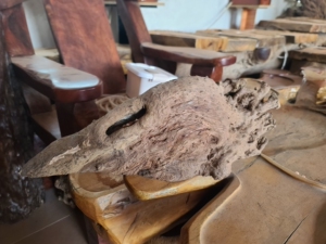 【现货包邮】荔枝木树根摆件一个,根雕材料.树瘤.