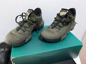 詹姆斯16代战靴低帮版 nike lebron xvi lo