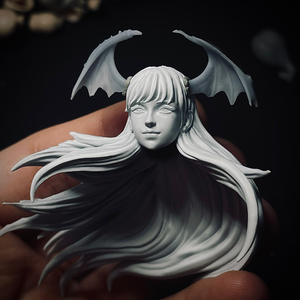 1/12 恶魔战士 莫妮卡 魅魔 头雕 白模