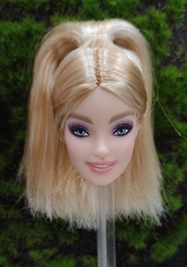 芭比娃娃的头白肌