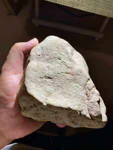 9公斤木那杨梅皮,料子皮壳老辣,正宗细沙杨梅皮,翻砂均匀