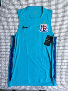 【包邮】耐克nike上海申花训练背心,上海申花球衣训练服_阿里巴巴找货