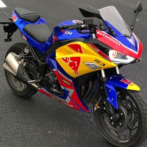 雅马哈摩托车跑车250cc双缸水冷
