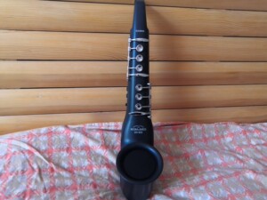 卡西欧电吹管casio dh-800