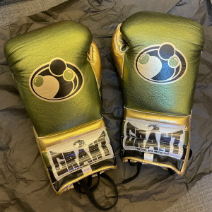 grant 拳套 拳击手套 winning ggg 戈洛夫金