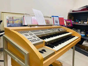 吟飞双排键,型号rs700,95成新,音色非常完美.本人从小