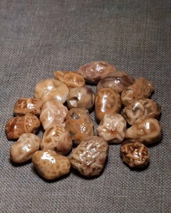 放漏!阿拉善筋脉石(小颗粒血脉花脉一组)纹路浮雕清晰,打灯通