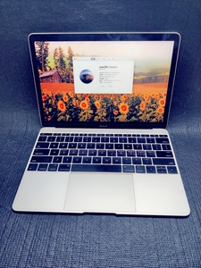 jd库存机2015款macbook12寸苹果笔记本电脑.香槟