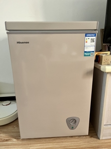 16海信(hisense)小冰柜冰箱家用冷冻100升单温冷柜