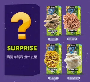 考拉精灵蘑菇盲盒,四种diy蘑菇任意两种只要29元,考拉精灵