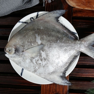 斗鲳鱼白鲳金鲳深海野生鲳鱼无刺海鱼新鲜中斗鲳大斗鲳