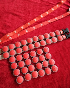 顺势舒享芯片康力