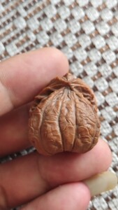 蛇头异形文玩核桃单只 纯天然生长全品无修 熟的倍好一点毛病没